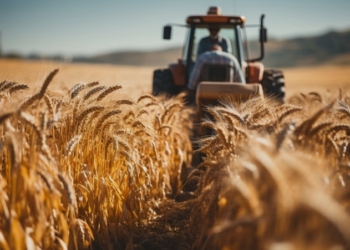 Аграрии Таджикистана в 2023 году произвели продукции на 63 миллиарда сомони