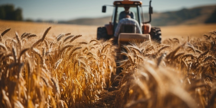 Аграрии Таджикистана в 2023 году произвели продукции на 63 миллиарда сомони