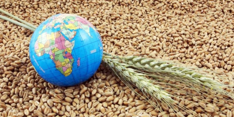 Мировые цены на продовольствие в январе снизились на 1%