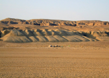 Красные пески пустыни Кызылкум