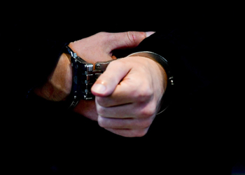 Сотрудниками милиции раскрыто несколько фактов кражи