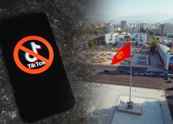 В Киргизии по решению властей частично заблокировали TikTok