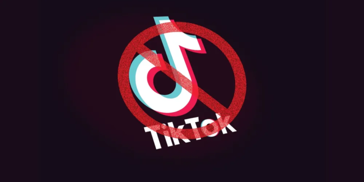 В Киргизии в ближайшие дни хотят заблокировать TikTok