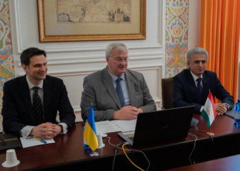 Заместители Министра иностранных дел Таджикистан и Украины провели онлайн встречу