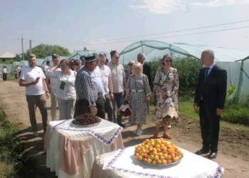 Сельхозпродукция Хатлонской области будет поставляться в Свердловскую область России