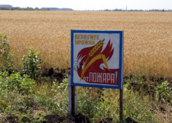 В Хатлоне прошел семинар по вопросам обеспечения пожарной безопасности в сельском и лесном хозяйстве