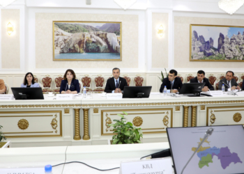 Подведены итоги деятельности системы страхования Таджикистана за первое полугодие 2024 года