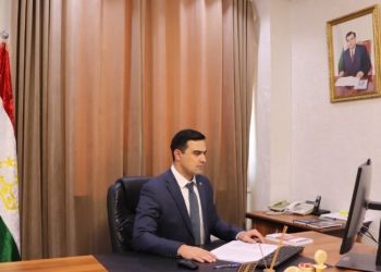 В Душанбе состоится заседание руководящего совета Специальной программы ООН