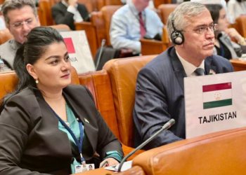 Парламентская делегация Таджикистана приняла участие в заседании ОБСЕ