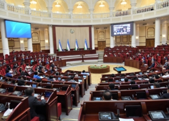 Деятельность Парламента Нового Узбекистана важна для стабильного развития страны