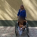 Жительница района Шахринав использовала свою дочь для попрошайничества