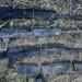 В Казахстане с начала 2024 года ликвидировано 13 каналов незаконного оборота оружия