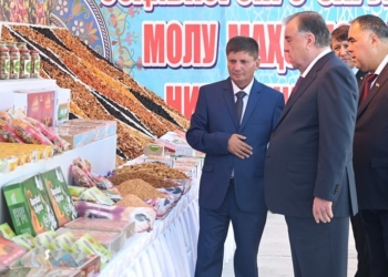 Эмомали Рахмон дал старт предприятию по упаковке сухофруктов ООО «Неруи Канд»