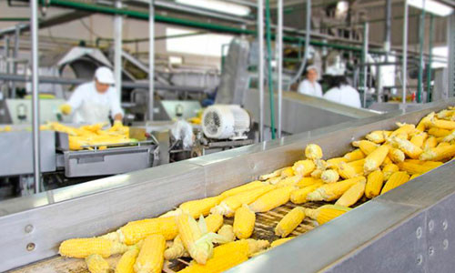 Модернизация АПК Китая: от сохранения свежести кукурузы до переработки голозерного ячменя