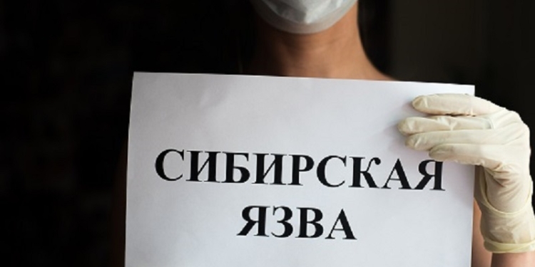 В Казахстане у четырех человек заподозрили сибирскую язву