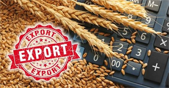 Власти Казахстана планируют экспортировать в 2024 году порядка 12 млн тонн зерновых