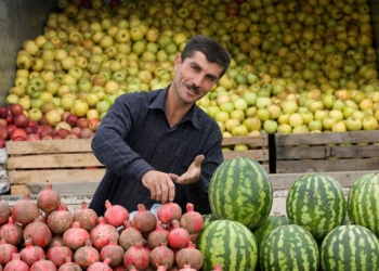 Объем сельхозпродукции в Таджикистане за девять месяцев превысил 52 млрд сомони