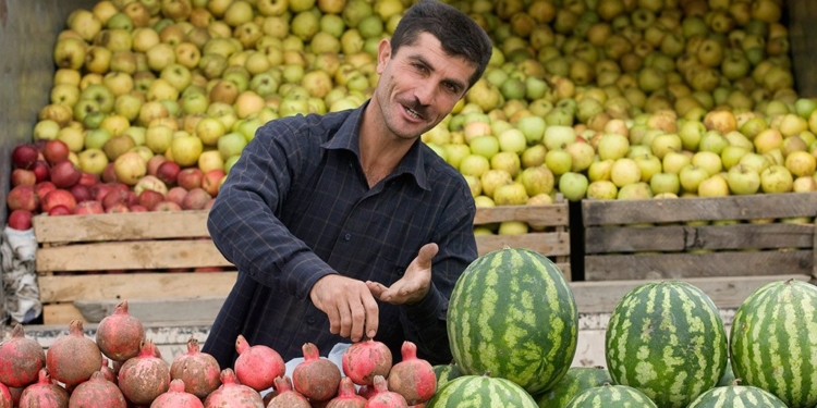 Объем сельхозпродукции в Таджикистане за девять месяцев превысил 52 млрд сомони