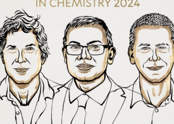 Нобелевская премия по химии 2024 года присуждена за прорыв в исследовании белков