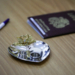 В Совфеде одобрили закон по борьбе с фиктивными браками между россиянами и мигрантами