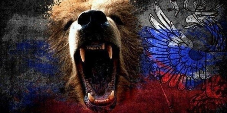 Русский медведь в африканской «лавке»
