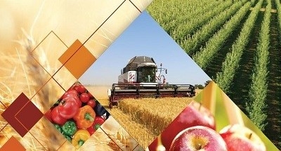 Эксперт из Узбекистана: Сельское хозяйство может стать отправной точкой к раскрытию торгового потенциала между КНР и странами Центральной Азии