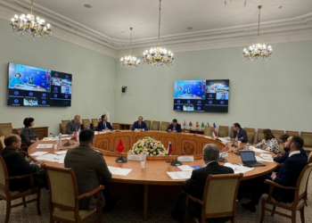 Страны СНГ обсудили вопросы поддержки малого и среднего предпринимательства