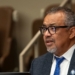 Глава ВОЗ: от супербактерий ежегодно умирает 1,3 миллиона человек