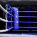 Почему бокс остается популярным в эпоху MMA?