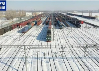 За 11 месяцев этого года внешнеторговый оборот Синьцзяна превысил 400 млрд юаней