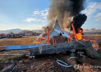 Пассажирский самолет потерпел крушение в Южной Корее, погибли 28 человек