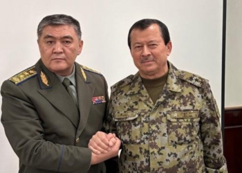 Таджикистан и Киргизия завершили описание границы