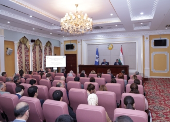 Таджикистан представил приоритеты председательства в СНГ в 2025 году