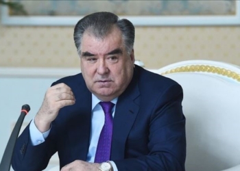Эмомали Рахмон выразил удовлетворение динамикой развития отношений с Россией