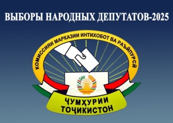 Создана рабочая грппа ЦИК по рассмотрению обращений и жалоб избирателей