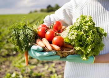 В Пенджикенте в 2024 году произведено сельхозпродукции на 2,1 миллиарда сомони