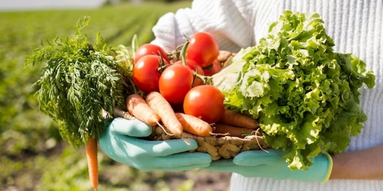 В Пенджикенте в 2024 году произведено сельхозпродукции на 2,1 миллиарда сомони