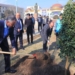 В Хатлоне посажено более 250 тысяч саженцев различных деревьев