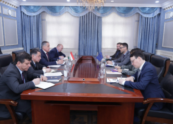 Министр иностранных дел Таджикистана встретился с посланником ЕС по Афганистану