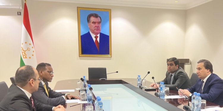 Таджикистан и Эфиопия планируют сотрудничество в авиационной сфере