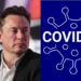 Илон Маск заявил, что Covid-19 создали на деньги USAID