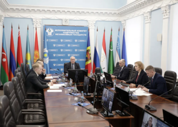 Эксперты стран СНГ рассмотрели проект Положения о Форуме волонтеров Содружества