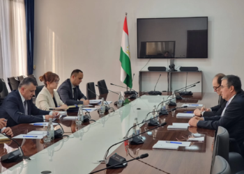 Миссия наблюдателей от СНГ продолжает мониторинг хода избирательной кампании в Таджикистане