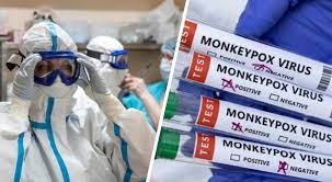 ВОЗ: вспышка оспы обезьян остается чрезвычайной ситуацией