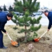 В Худжанде продолжаются работы по озеленению