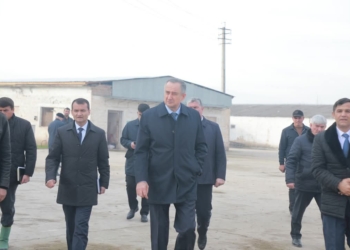 Глава Хатлона посетил ферму по выращиванию птицы в районе Абдурахмони Джоми