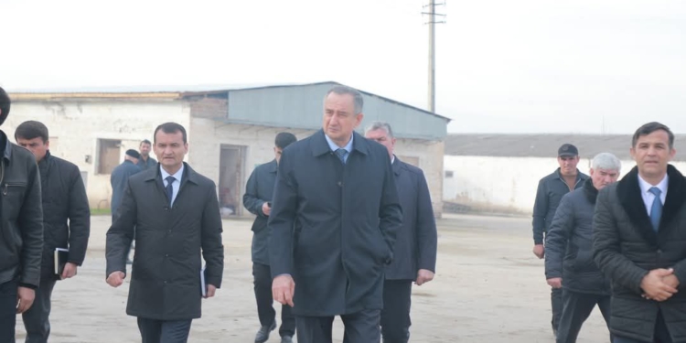 Глава Хатлона посетил ферму по выращиванию птицы в районе Абдурахмони Джоми