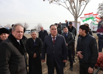 В Канибадаме начали посадку раннего картофеля