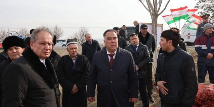 В Канибадаме начали посадку раннего картофеля