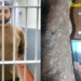 В Душанбе 43-летний мужчина ранил оппонента ножом в ходе ссоры